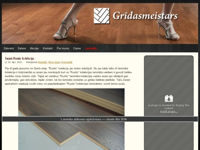 Grīdasmeistars, salons, SIA